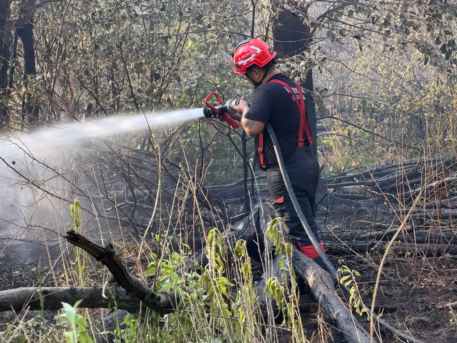 Požar u pograničnom području kod Iloka pod kontrolom, vatrogasci ostaju na terenu
