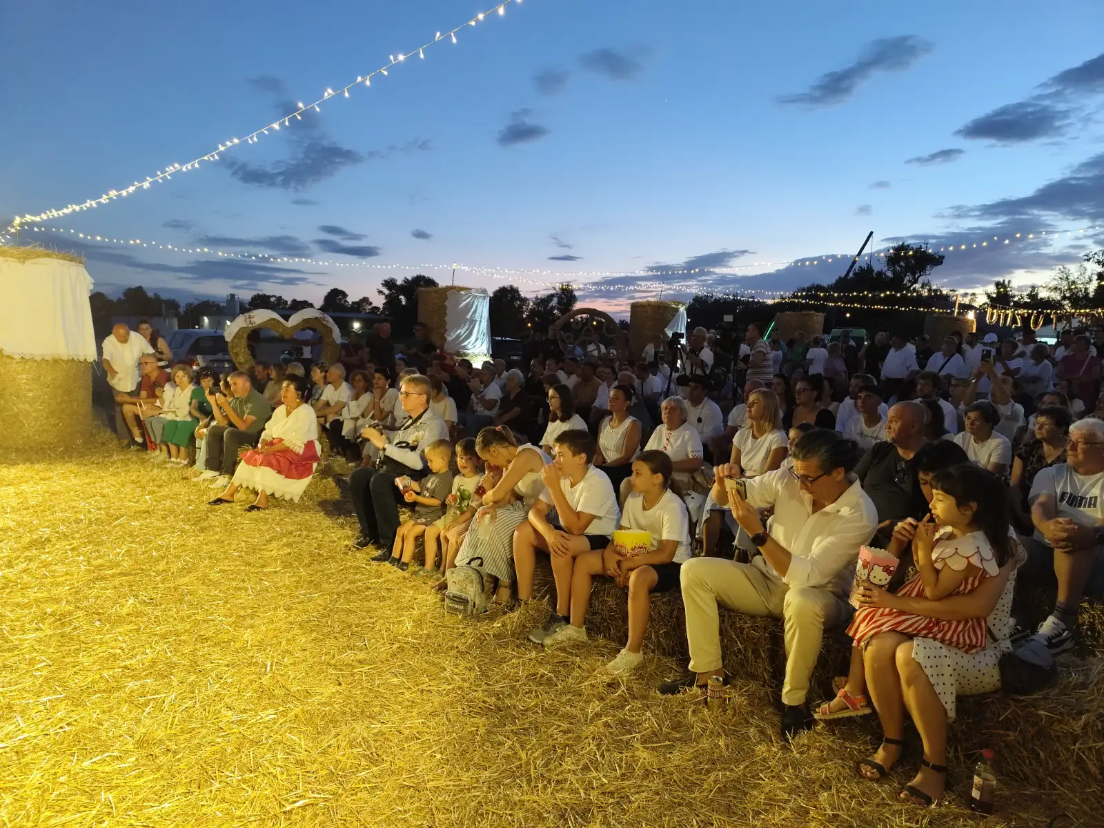 koncert u žitu 2.webp